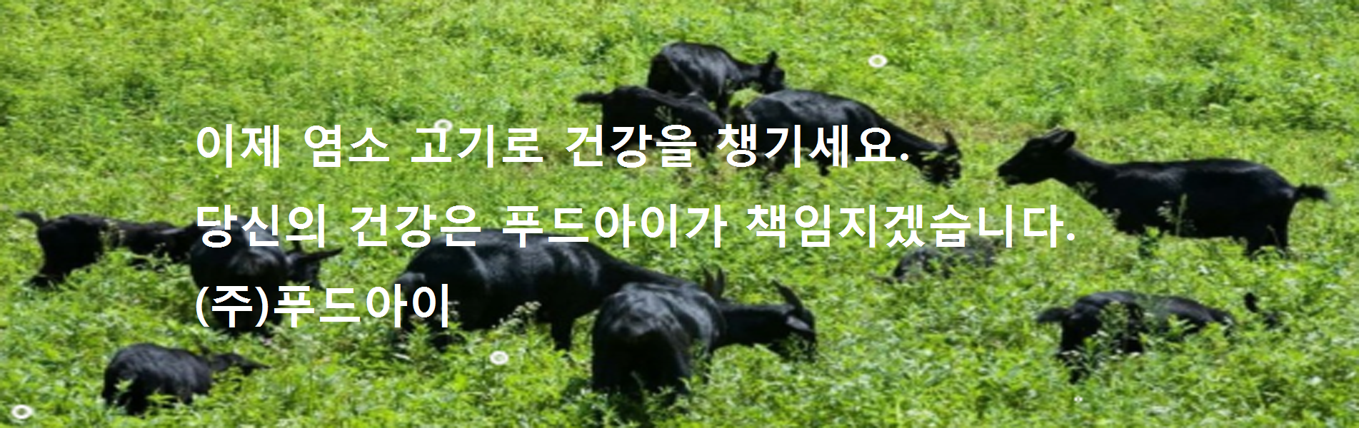이미지 02